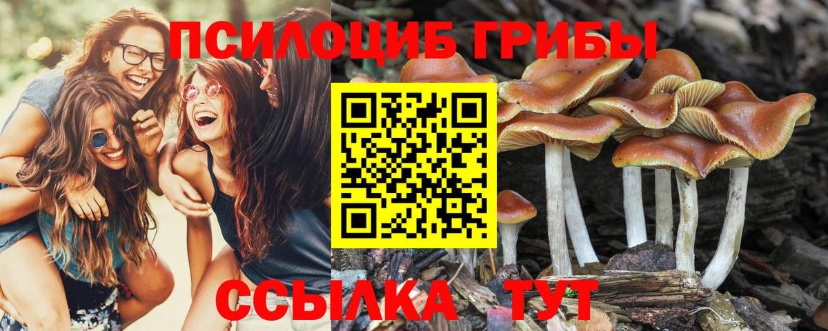 Псилоцибиновые грибы прущие грибы Железногорск