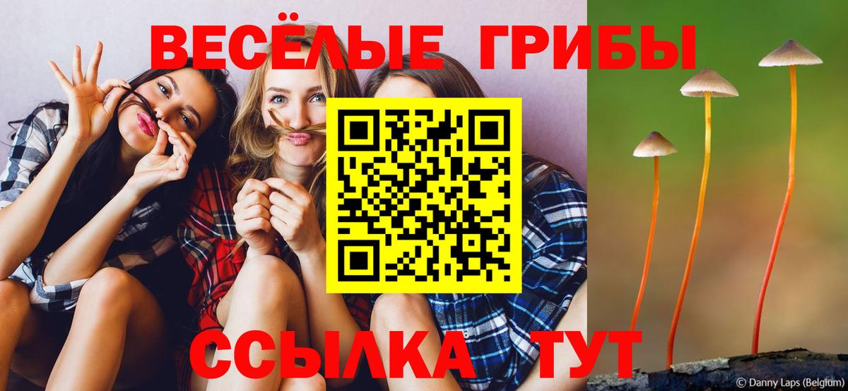 даркнет сайт  Вход с VPN  Железногорск  Псилоцибиновые грибы ЛСД 
